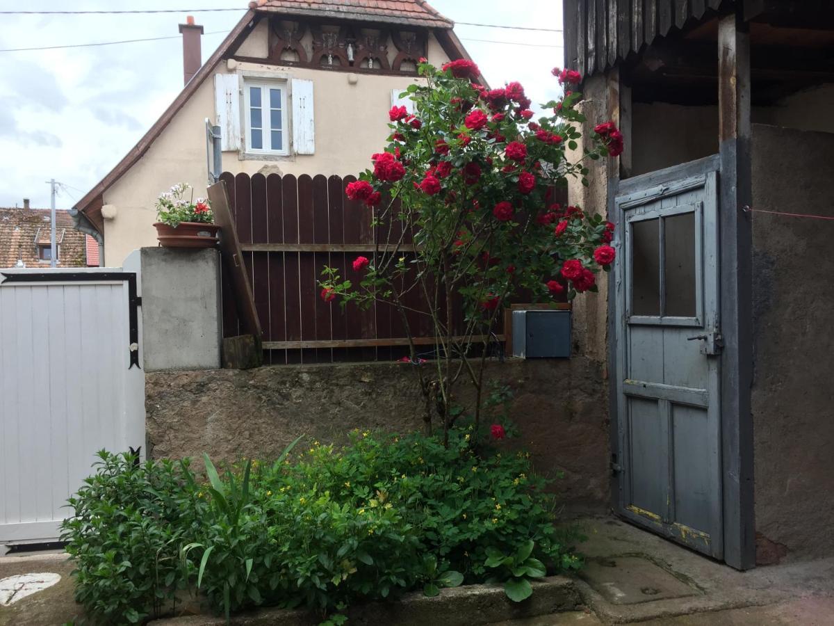 Appartement Spacieux Dans Joli Village Alsacien Châtenois Zewnętrze zdjęcie