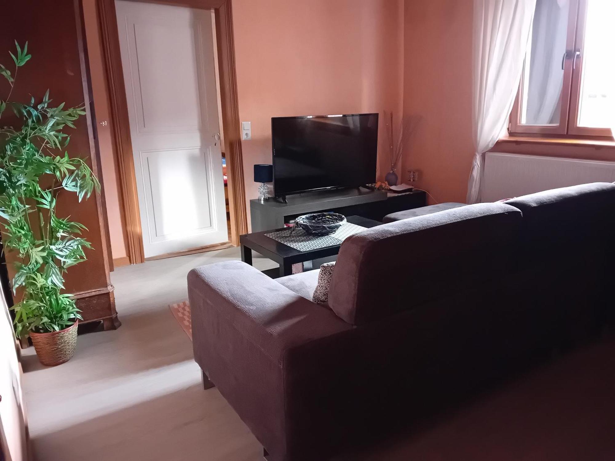 Appartement Spacieux Dans Joli Village Alsacien Châtenois Zewnętrze zdjęcie