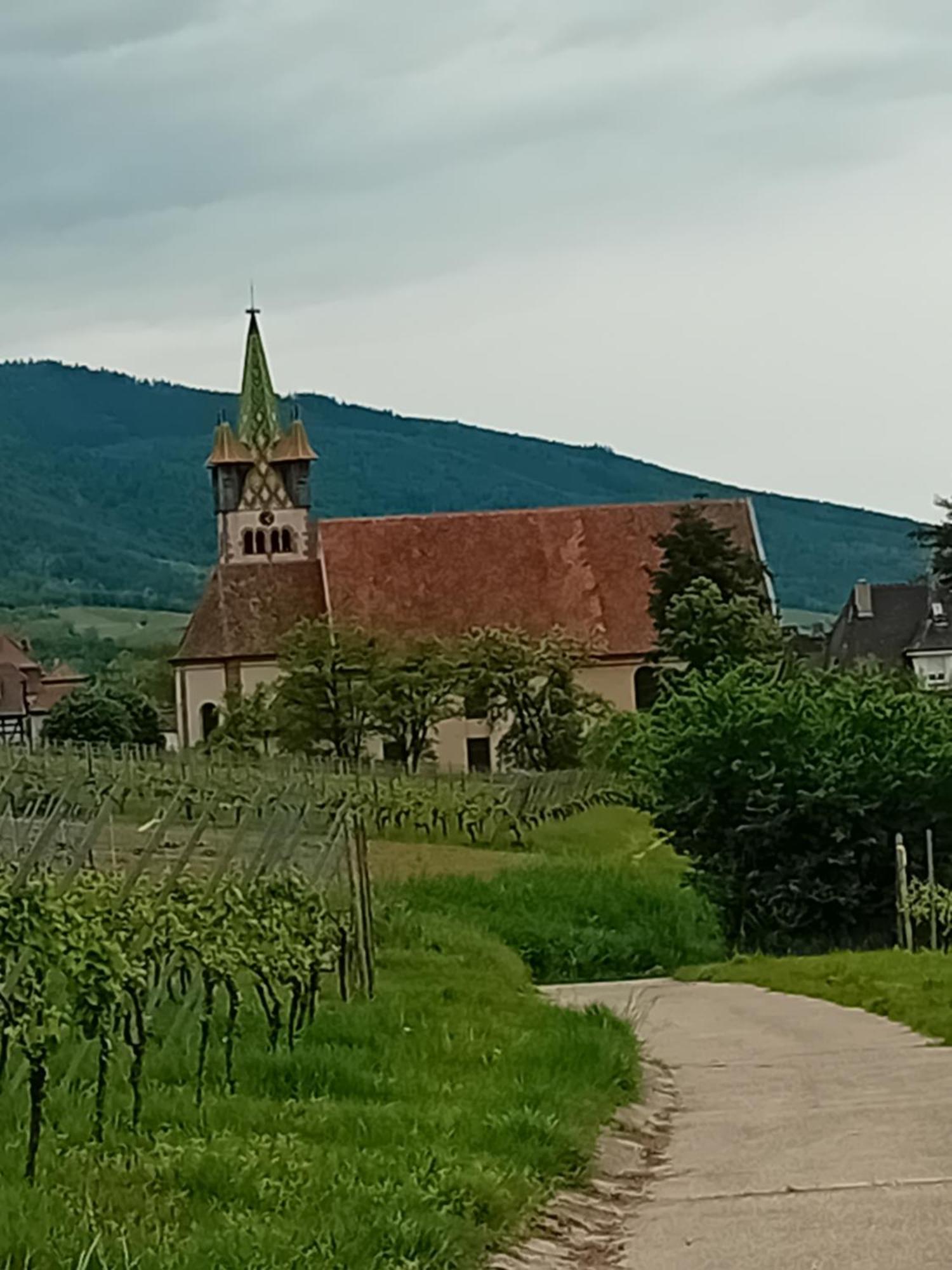 Appartement Spacieux Dans Joli Village Alsacien Châtenois Zewnętrze zdjęcie
