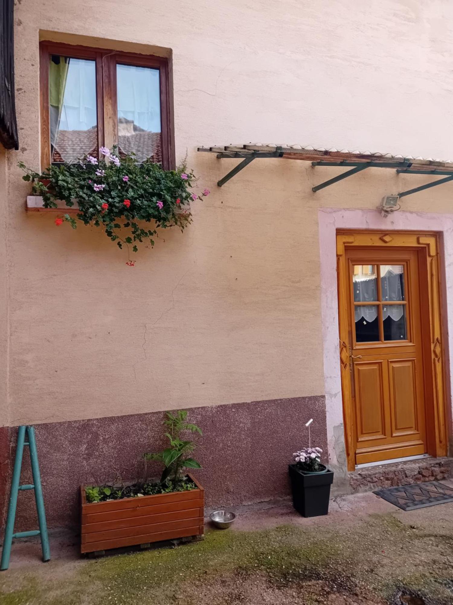 Appartement Spacieux Dans Joli Village Alsacien Châtenois Zewnętrze zdjęcie